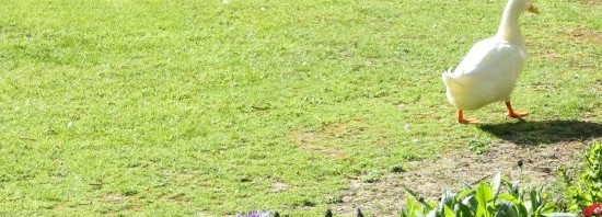 A tutti quelli che mi seguono, che passano, che se ne sbattono, che proprio non mi sopportano…