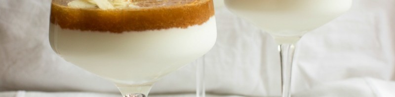 Pannacotta alle mandorle e gelée di melone
