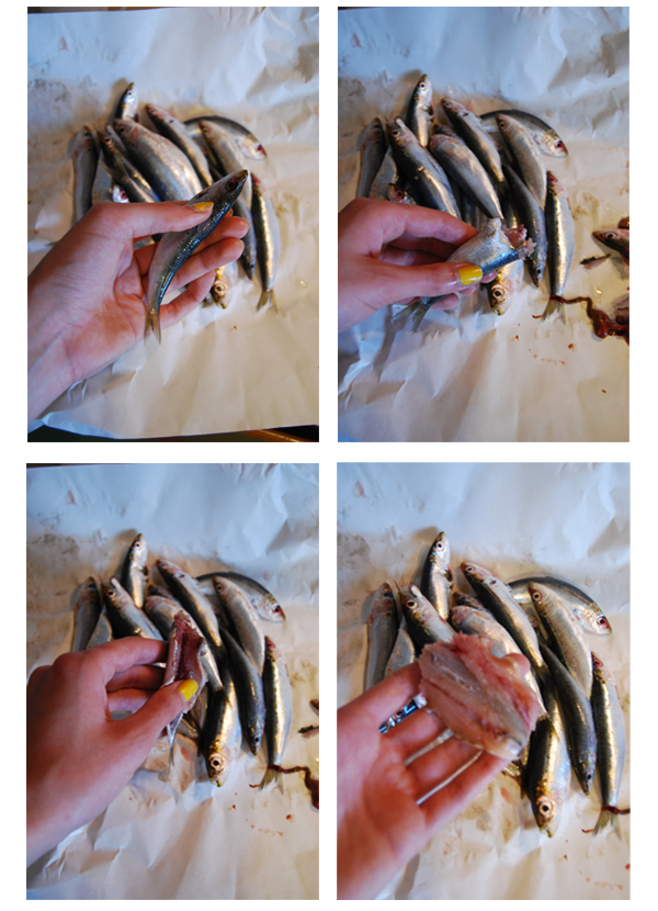 How to - pulire le sardelle