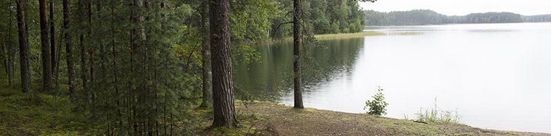 Un giro in Finlandia