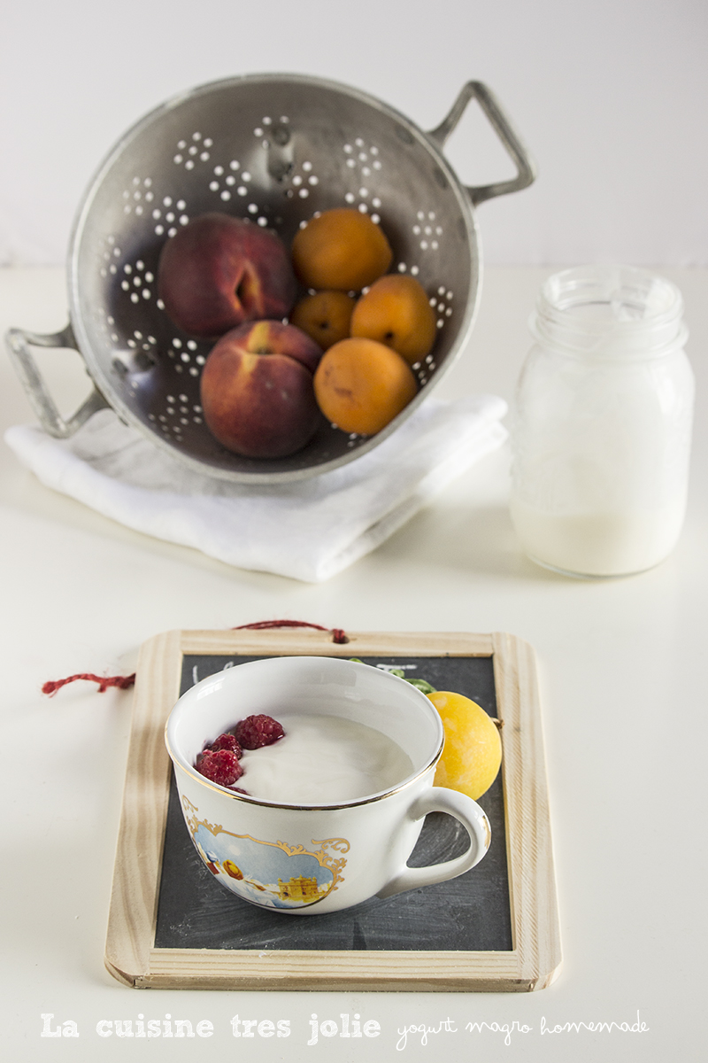 Yogurt magro fatto in casa senza termometro